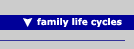 button family and therapy life cycles