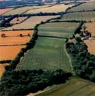 Arial view of Wooldings Vineyard