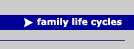 Button Familes & Therapy Family Life Cycles Link